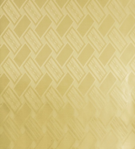 [2013-S119-21045] Bazin uni Color 119-light gold