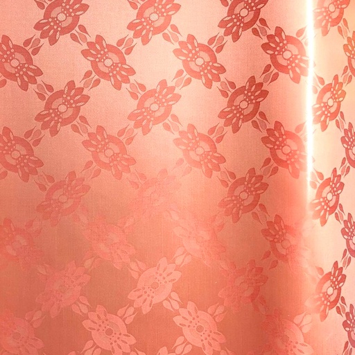 [2040-E203-21120] Drews Or 2175-salmon