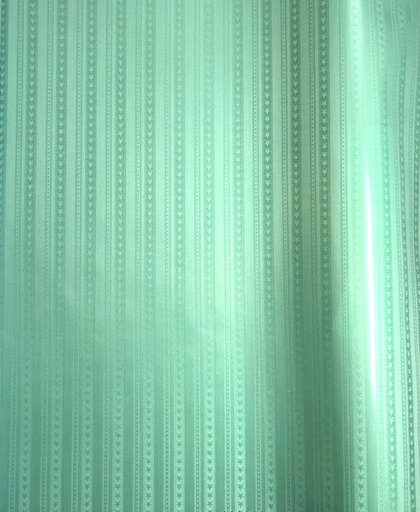 [2098-S618-21530-3] Bazin uni Color 618-mint | D - 3 m